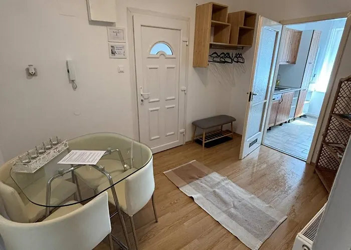 Velovibe 巴拉顿诺尔马迪